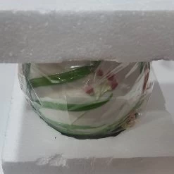 Disney Cookie Jar - Tinker Bell With Flowering Vines - RETIRED -Cozy Corner Shop 100761g