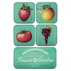 Disney Magnet Set - 2018 Epcot Flower And Garden Festival Logo Fruit