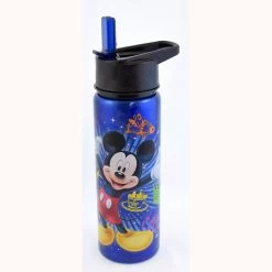 Disney Metal Water Bottle - Mickey Mouse - 4 Parks