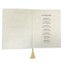 Disney Storybook Replica Journal - Robin Hood -Cozy Corner Shop 86709203