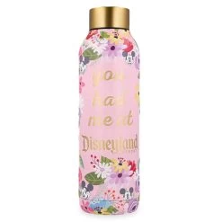 Disney Water Bottle - Stainless Steel - You Had Me At Disneyland