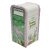 Disney Spice Shaker - 2023 Epcot Flower And Garden Figment Trash Can 1 Disney Spice Shaker - 2023 Epcot Flower And Garden Figment Trash Can -Cozy Corner Shop 99289aml1